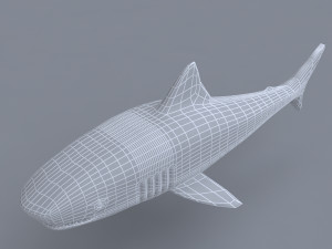 tiger shark Modelo 3D