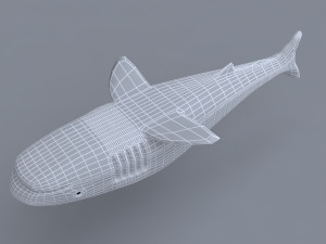 tiger shark Modelo 3D