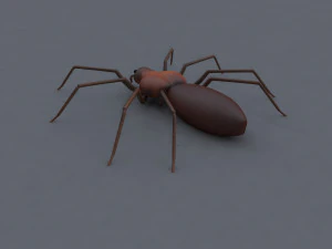 squalo tigre Modello 3D