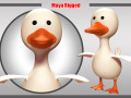 duck rigged Modelo 3D