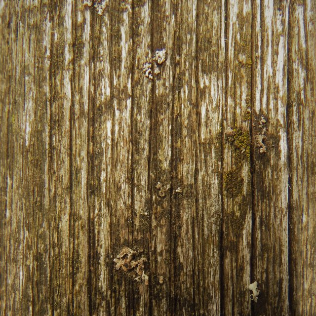 dark wood texture CG Textures .c4d .max .obj .3ds .fbx .stl .blend 