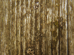 dark wood texture CG टेक्स्चर्स