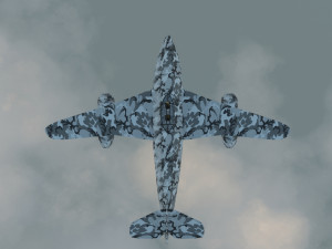 bomberplane 3D Model