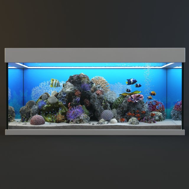 aquarium with fish 3D Model .c4d .max .obj .3ds .fbx .stl .blend 