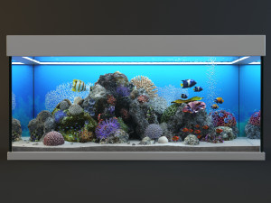 aquarium with fish 3D 모델