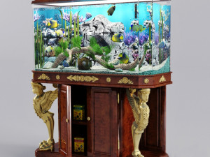 aquarium classic Modello 3D