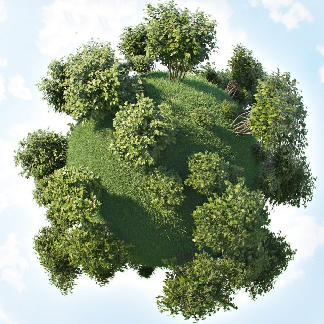 set of bushes 5x 3D Модель .c4d .max .obj .3ds .fbx .stl .blend 