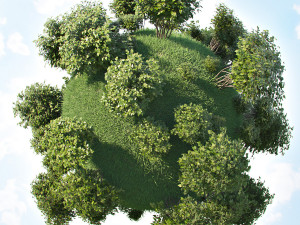 set of bushes 5x 3D Модель