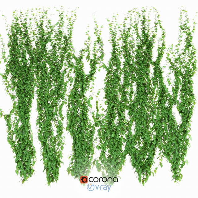 ivy 3D Model .c4d .max .obj .3ds .fbx .stl .blend 