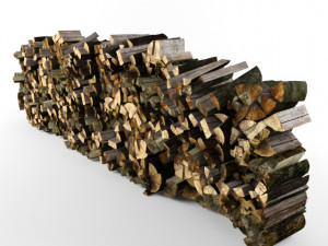 firewood 3D Модель
