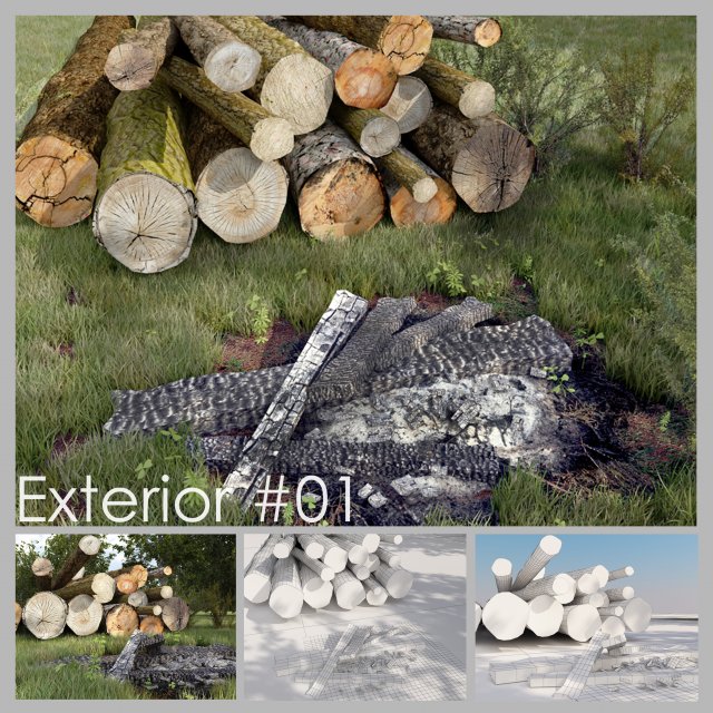 swift 3D Model .c4d .max .obj .3ds .fbx .stl .blend 