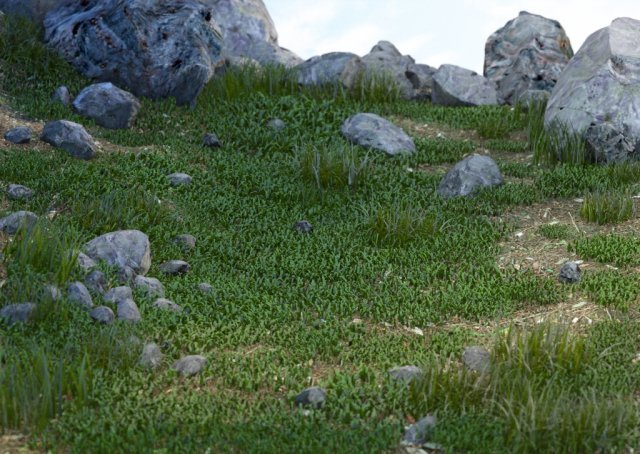 stones and grass 3D 模型 .c4d .max .obj .3ds .fbx .stl .blend 