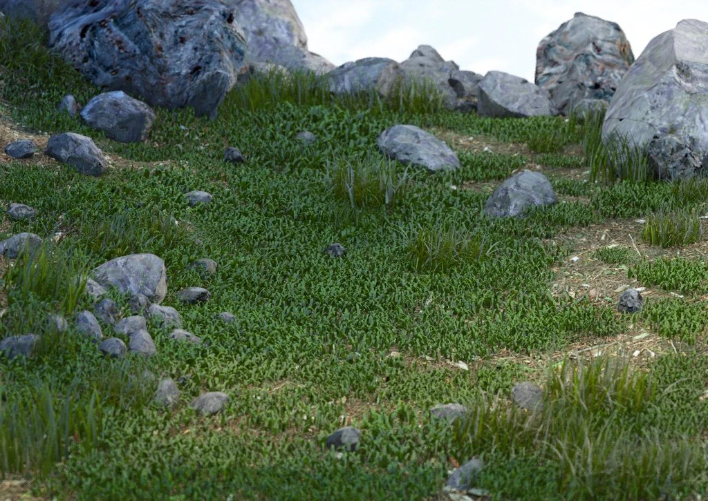stones and grass 3D Model .c4d .max .obj .3ds .fbx .stl .blend 