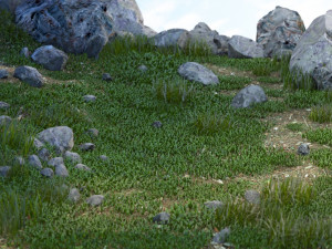 stones and grass Model 3D