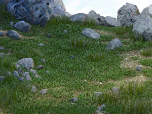 каміння і трава 3D Модель