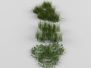 stones and grass 3D Model
