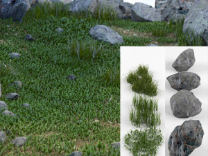 stones and grass 3D 模型