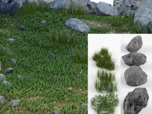 stones and grass 3D Model