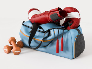 boxer sports bag Modèle 3D