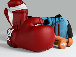 boxer sports bag Modèle 3D
