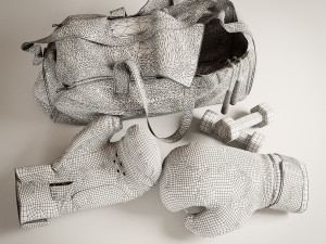 boxer sports bag Modèle 3D