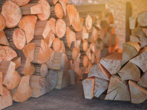firewood 3D Model