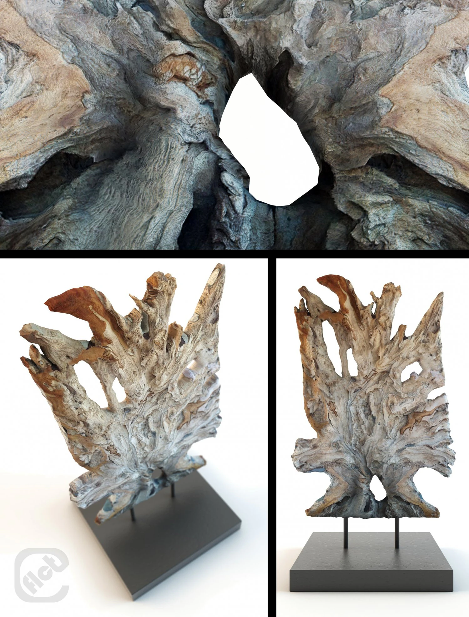 root 3D Model .c4d .max .obj .3ds .fbx .stl .blend 