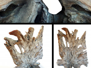 root 3D-Modell