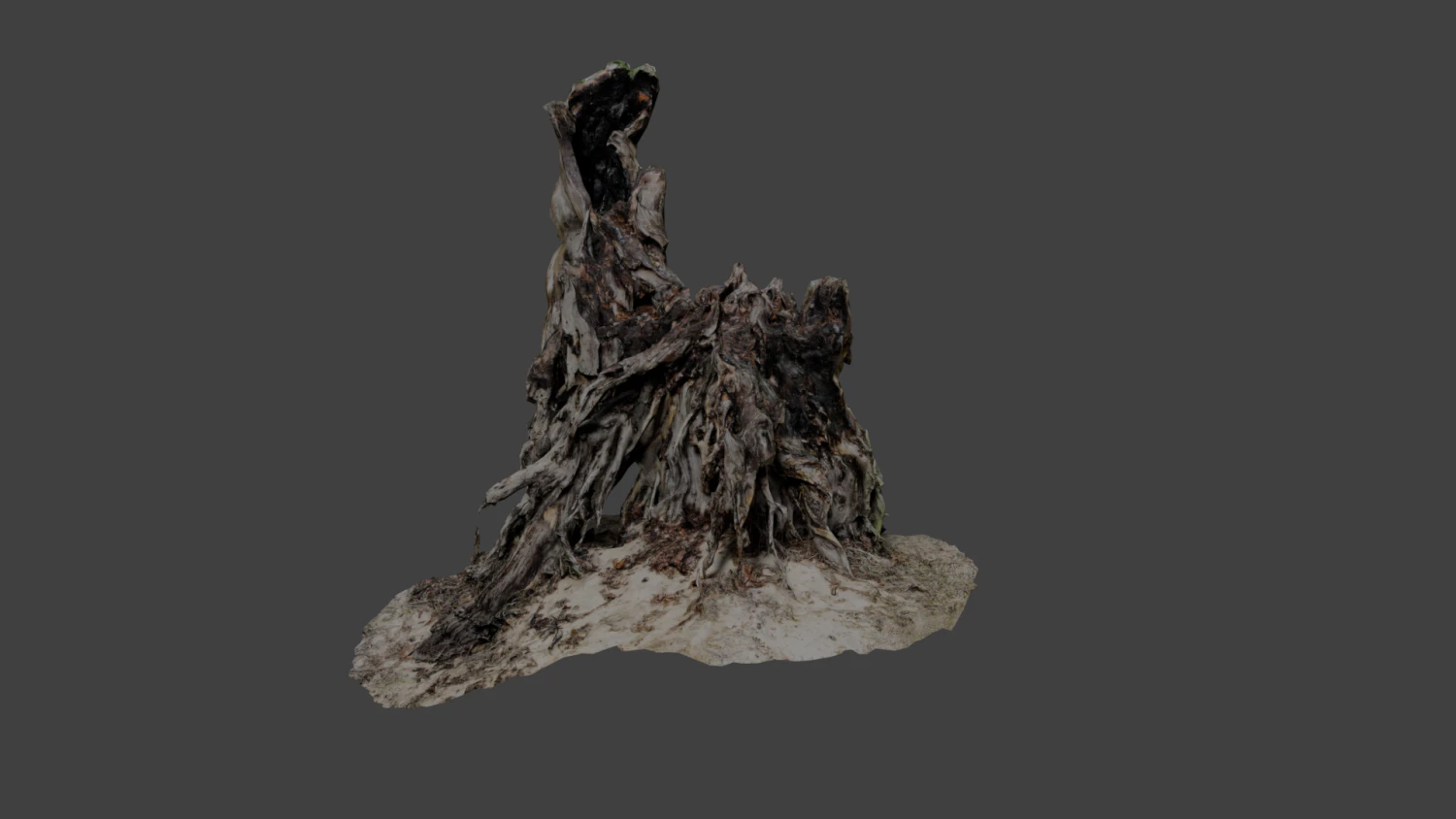 stump 3D Model .c4d .max .obj .3ds .fbx .stl .blend 