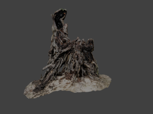 stump 3D Model