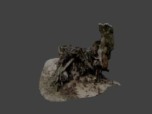 stump 3D Model