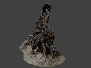 stump Modelo 3D