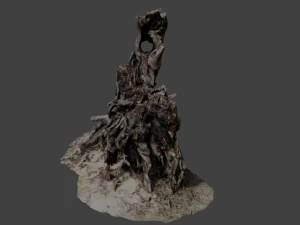 stump 3D Model