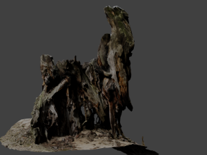 stump Modelo 3D