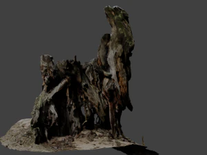 stump 3D Model