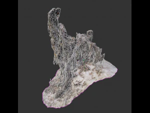 stump 3D Model
