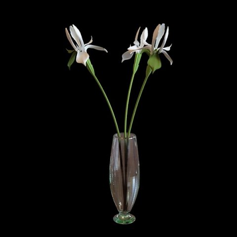 vase Modèle 3D .c4d .max .obj .3ds .fbx .stl .blend