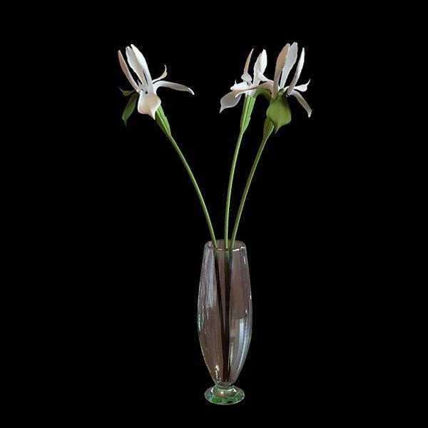 vase 3D Model .c4d .max .obj .3ds .fbx .stl .blend 