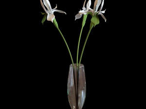 vase Modello 3D