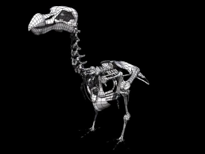 dodo skeleton 3D Model