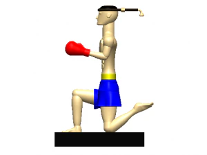 Muay thai doll 3D Print Model