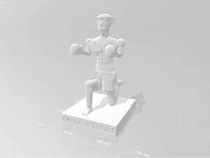 muay thai doll 3D 프린트 모델
