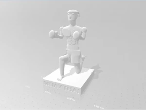 Muay thai doll 3D Print Model
