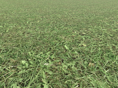 Realistic Terrain Textures CG テクスチャ