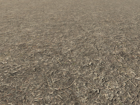Realistic Terrain Textures CG テクスチャ