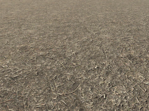 逼真的地形纹理 CG 纹理