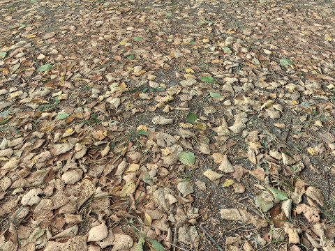 Realistic Terrain Textures CG テクスチャ