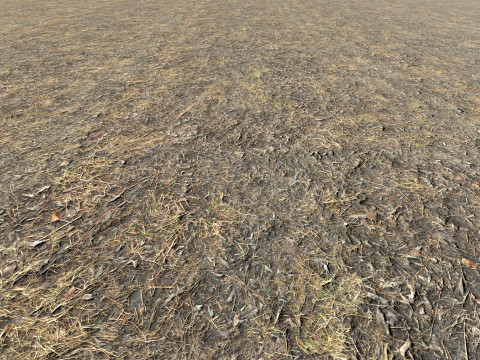 Realistic Terrain Textures CG テクスチャ
