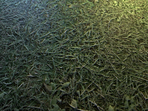 逼真的地形纹理 CG 纹理