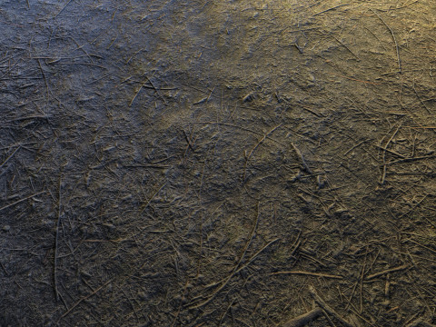 Realistic Terrain Textures CG テクスチャ